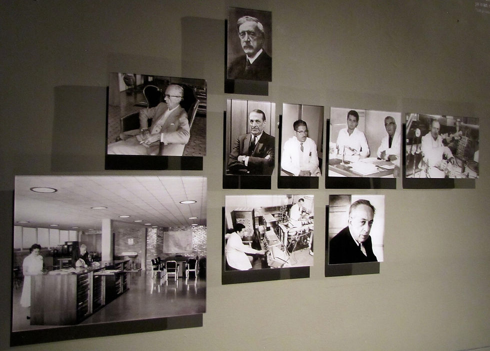 Fotografías de diversos personajes de ciencia quienes encontraron en instituciones educativas mexicanas, como la UNAM o el IPN, un lugar donde poder continuar con sus investigaciones. Crédito: María José Felgueres Planells.