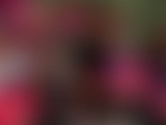 Rocque Perez alongside Representative Nancy Gutierrez and the Associated Students of the University of Arizona.