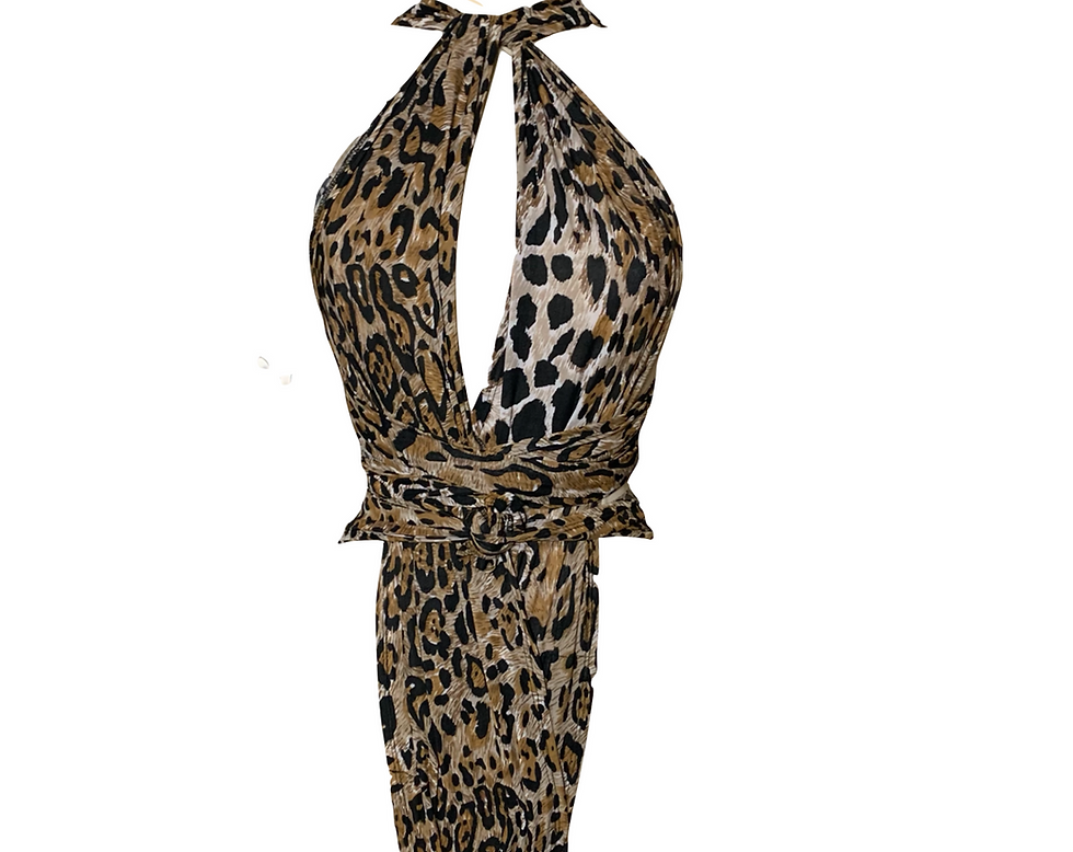 Thumbnail: Lovely Leopard