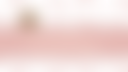 Puppy Socialization: Exploring Construction Zones, Fire Stations, and the Real World