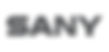 Sany_Logo_grau.jpeg