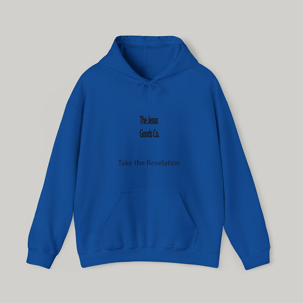 Thumbnail: Take the Revelation - Hoodie