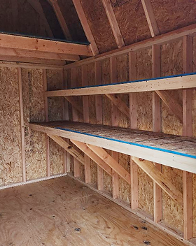 Shed Shelf.png
