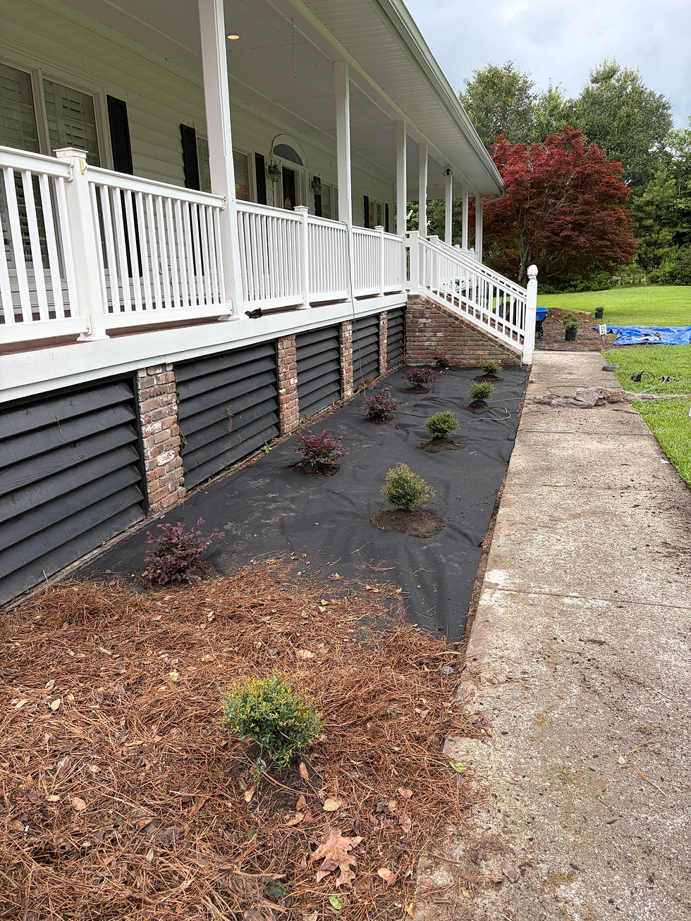Freshly planted landscaping projects along a white porch.