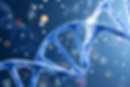 DNA and Blood tests specifically for the weight loss