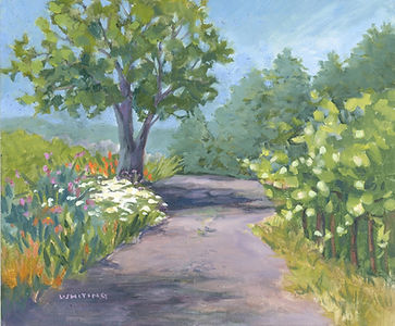 Lynne Whiting Robertson Parducci Gardens