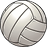 vball_edited.png