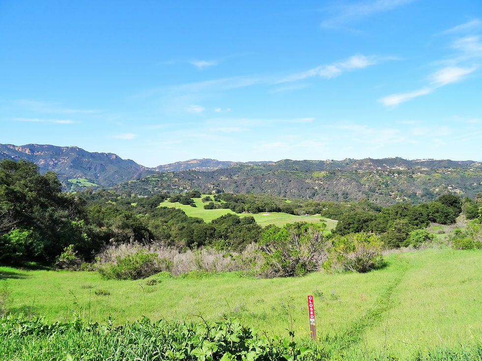 Topanga State Park