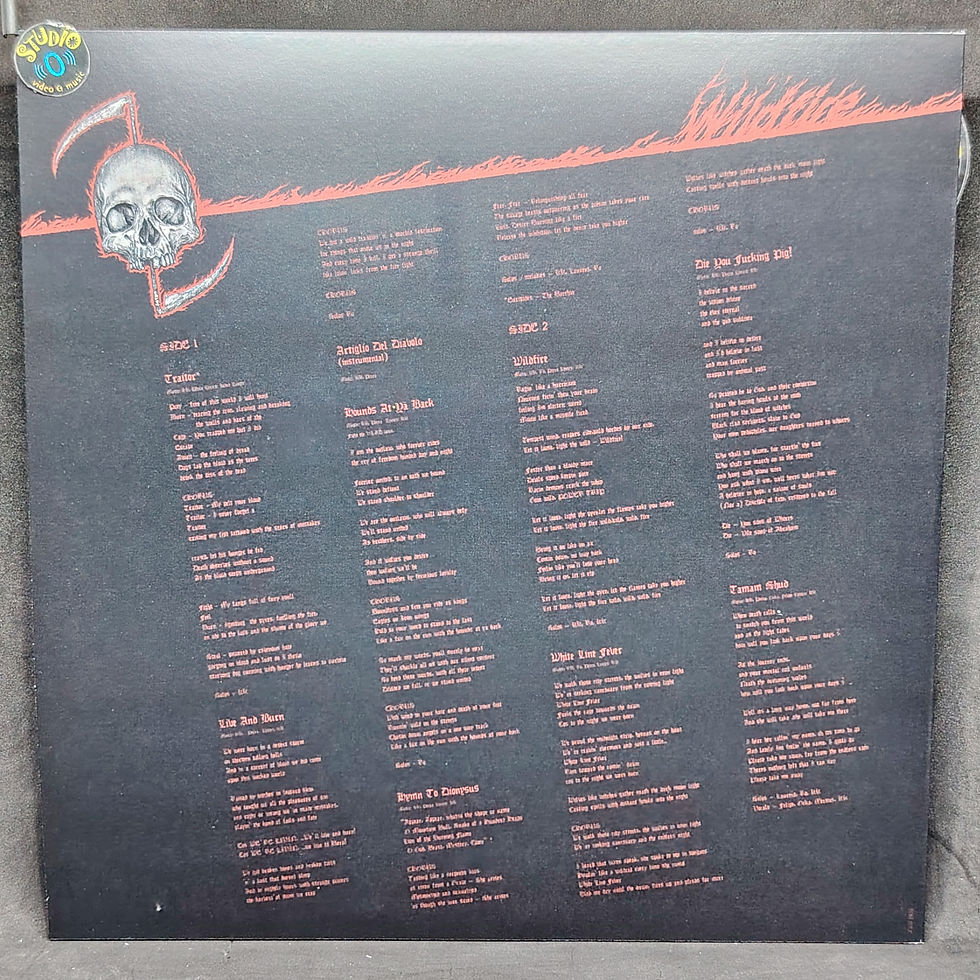 Miniatura: Destroyer 666 - Wildfire (Ltd. Edt. Re-issue 2022 on Colored Vinyl)