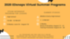 2020 EDsnaps Summer Programs (1).png