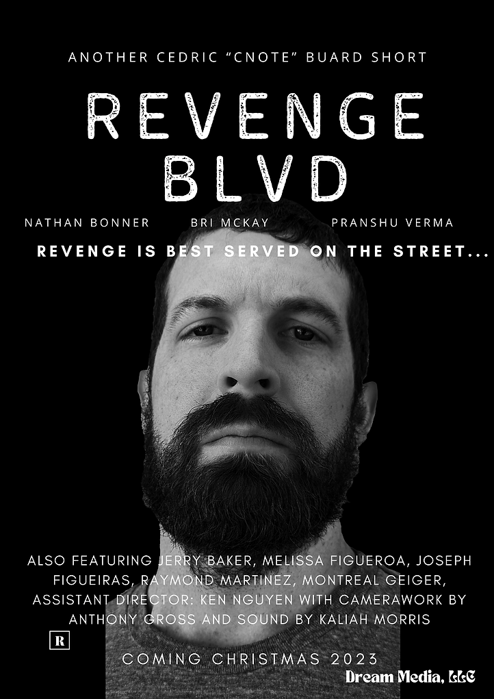 dallas media production services revenge blvd cover