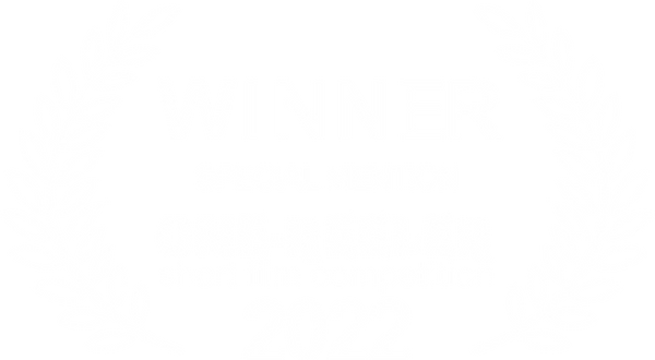 dallas media production services winner crest