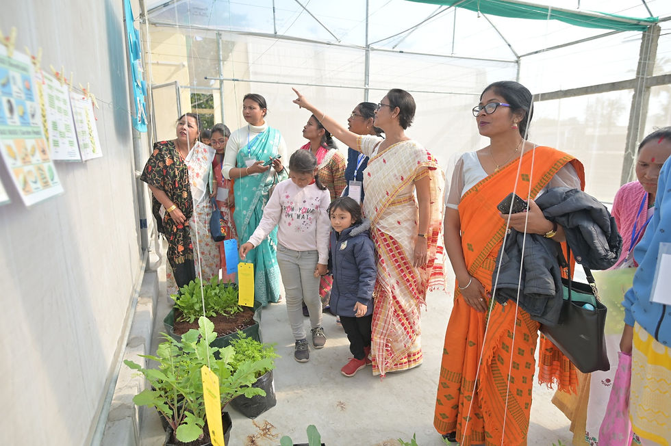 The vision of KB Hydroponics Academy is At KB Hydroponics Academy we are dreaming of a greener horizon. 