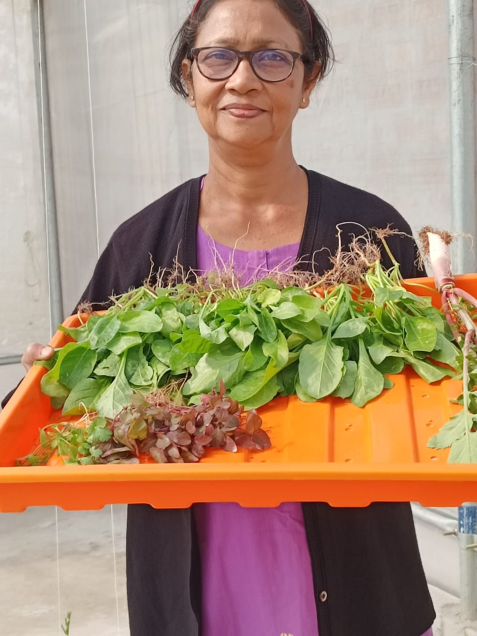 To lead a movement in sustainable agriculture, providing comprehensive education and resources for clean, pesticide-free farm