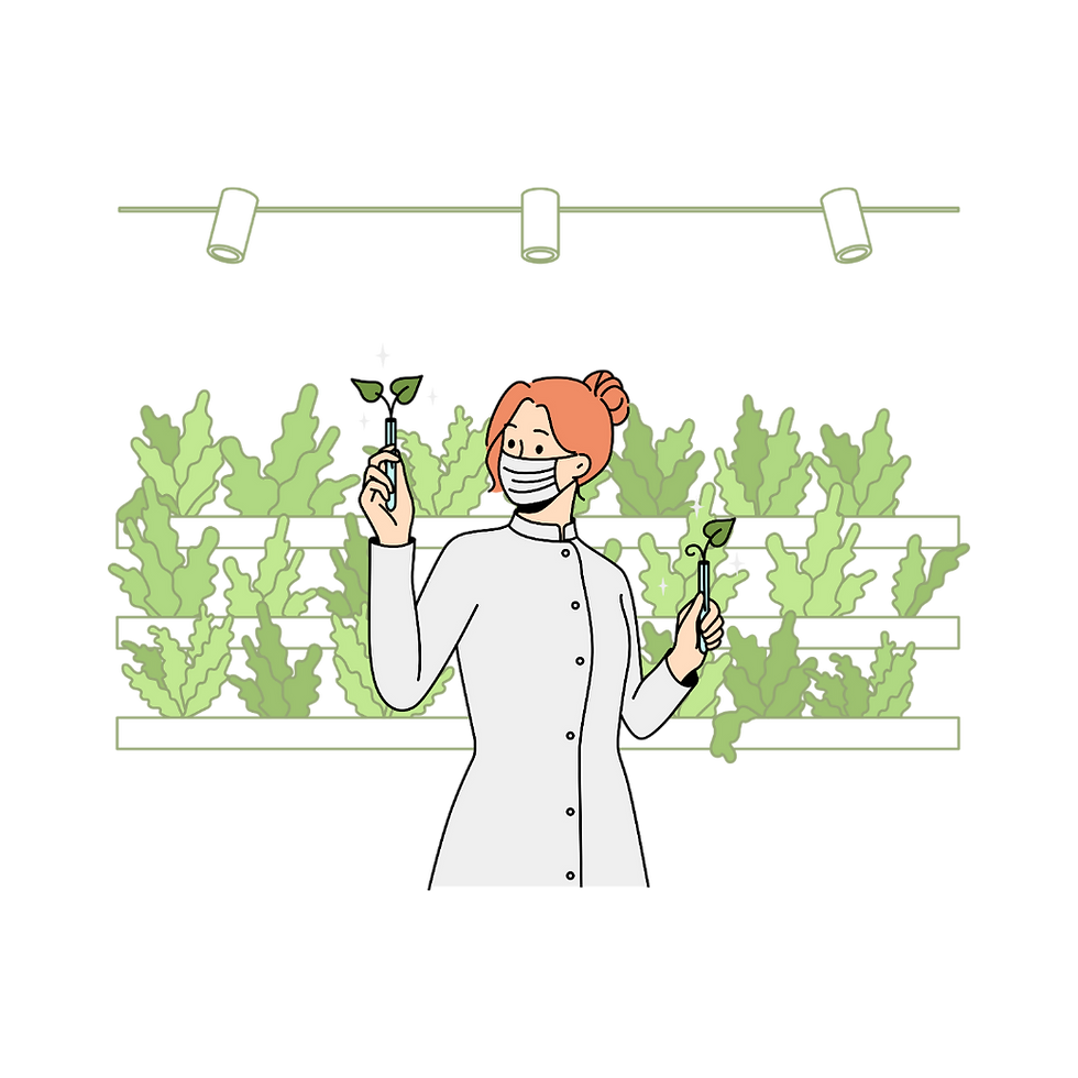 KB Hydroponics Academy. Practical training for Soilless Farming and Hydroponics