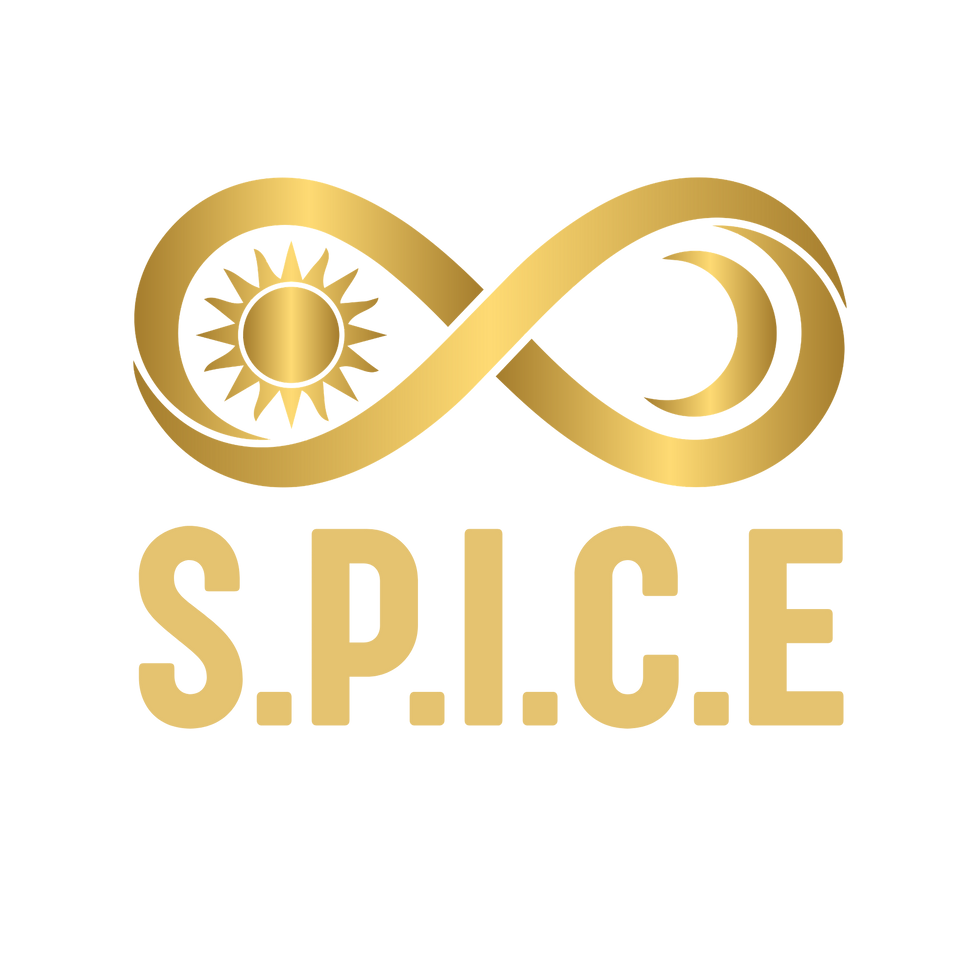 SPICE100 CVH Approved Logo