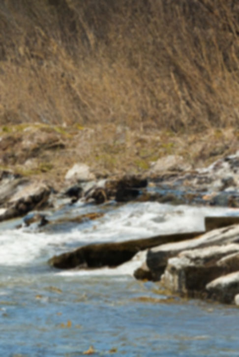 landscape image showing water runnoff into a wisconsin lake.jpg