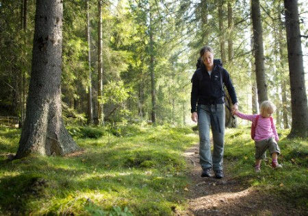 Parent and child investigate nature as part of a large family festival