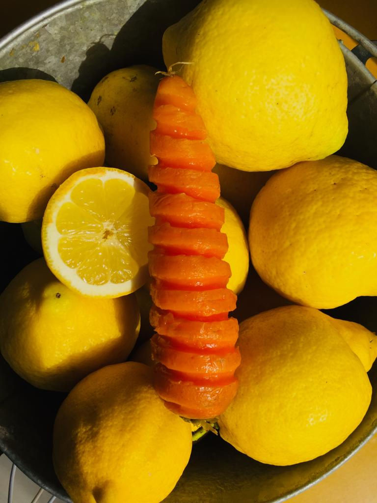 COCIDO