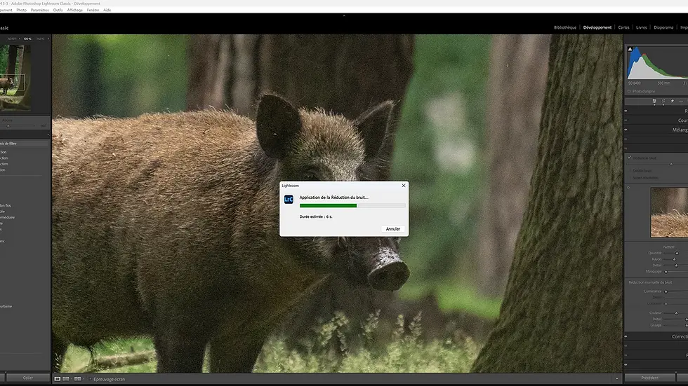Traitement du bruit numérique Lightroom.