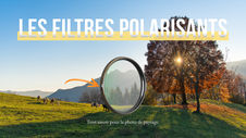 Le filtre polarisant.