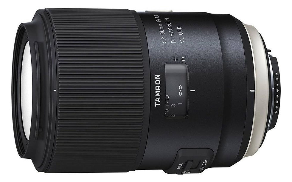 Tamron 90 mm macro.