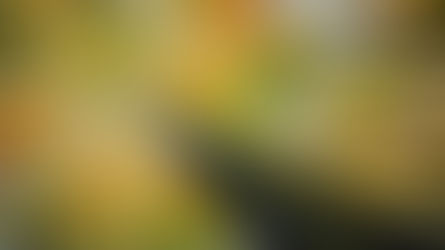 Photo nette à main levée.