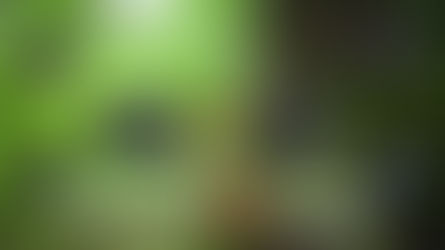 Pourquoi choisir un appareil photo hybride ? Quels avantages et différences par rapport au reflex ?