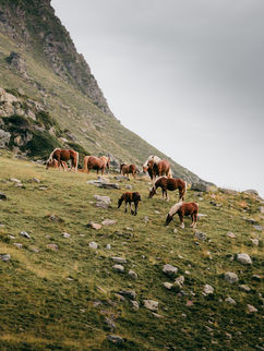 Photo de paysage