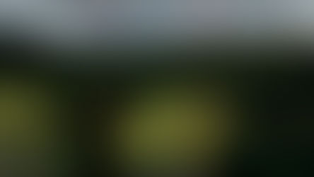 La composition photo.