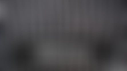 Les zébras photo et vidéo.