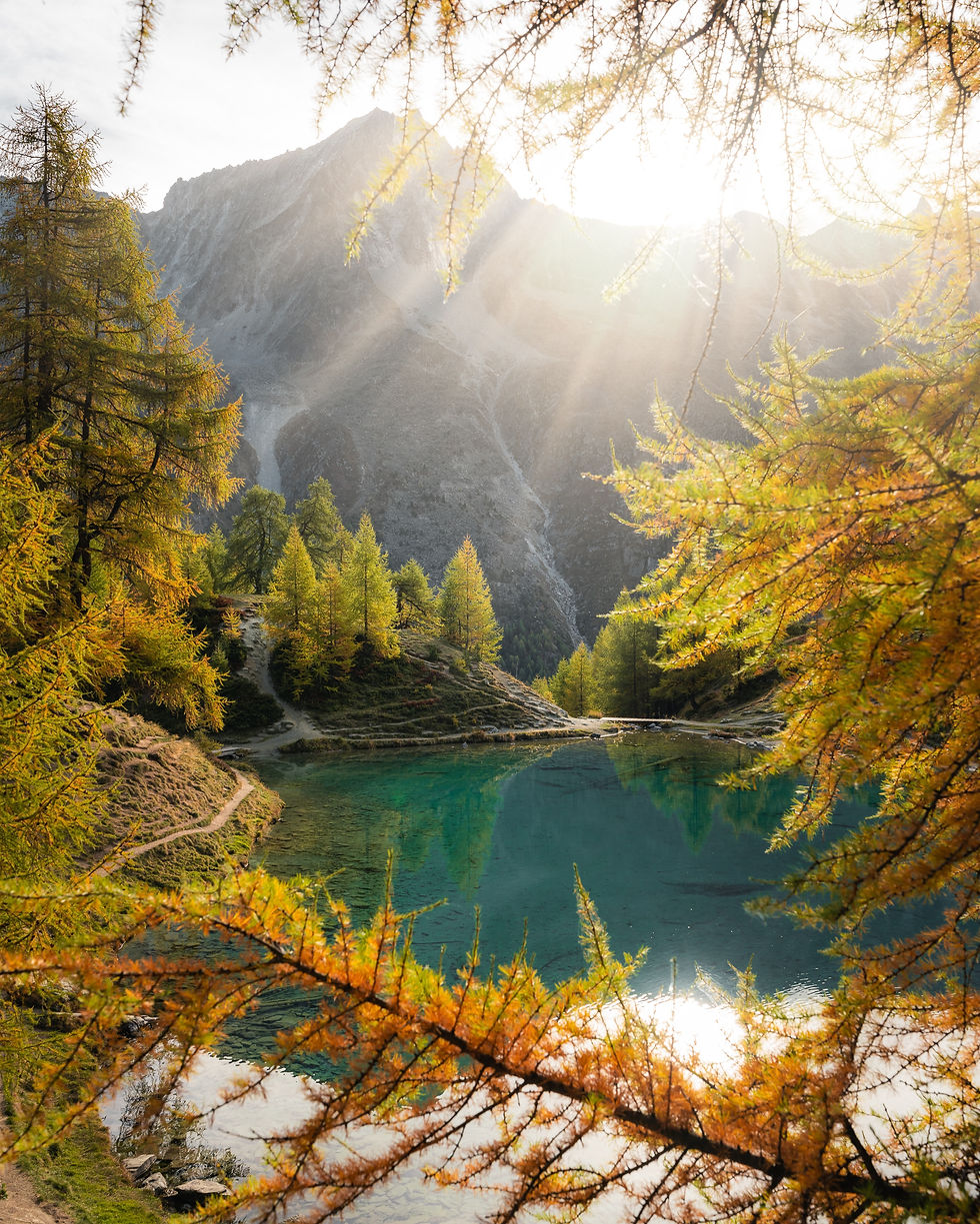 Photo de paysage