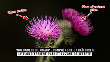 Tout sur la profondeur de champ.
