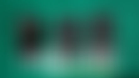 Les objectifs anamorphique.