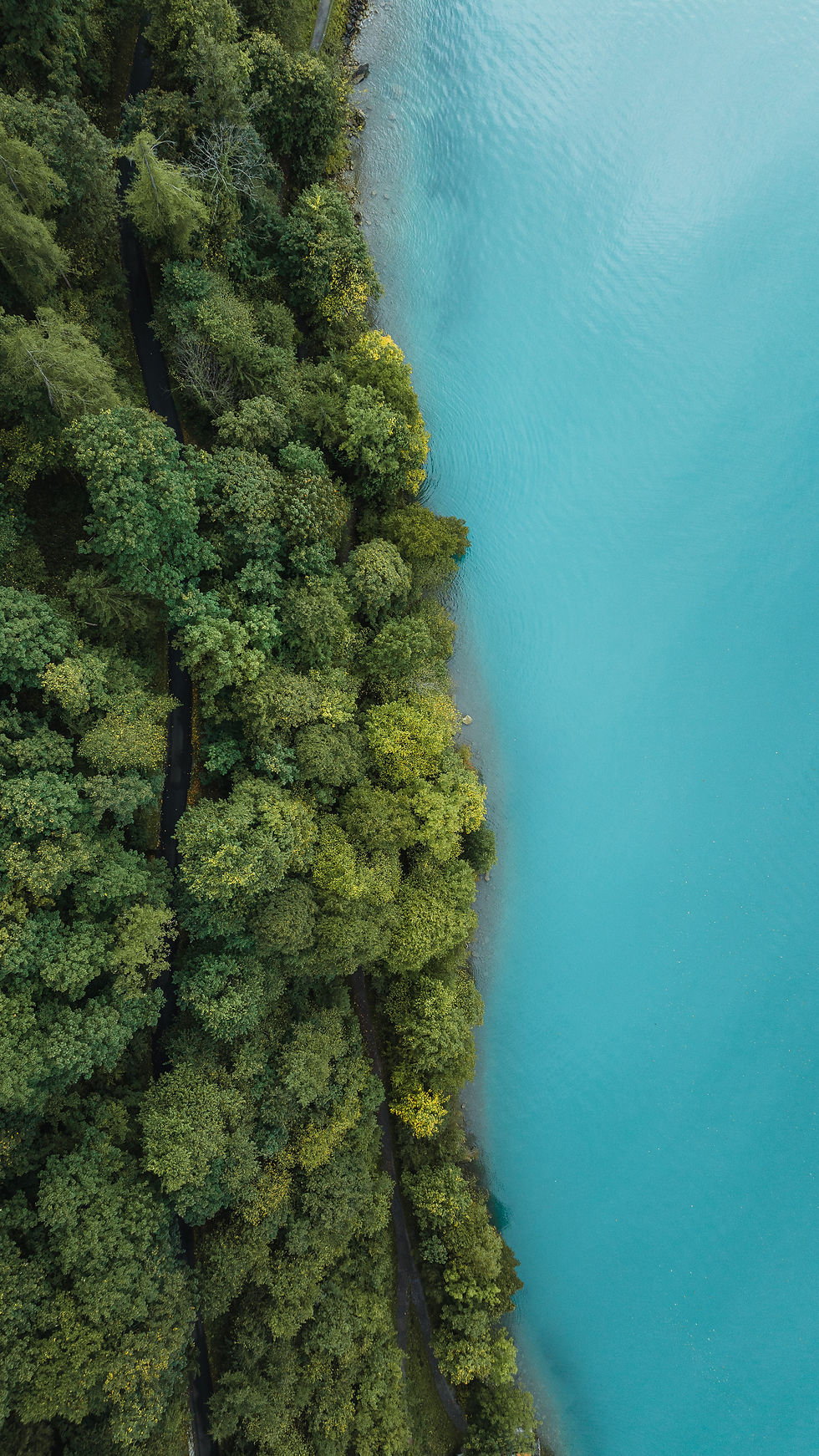 Photo de paysage aérien
