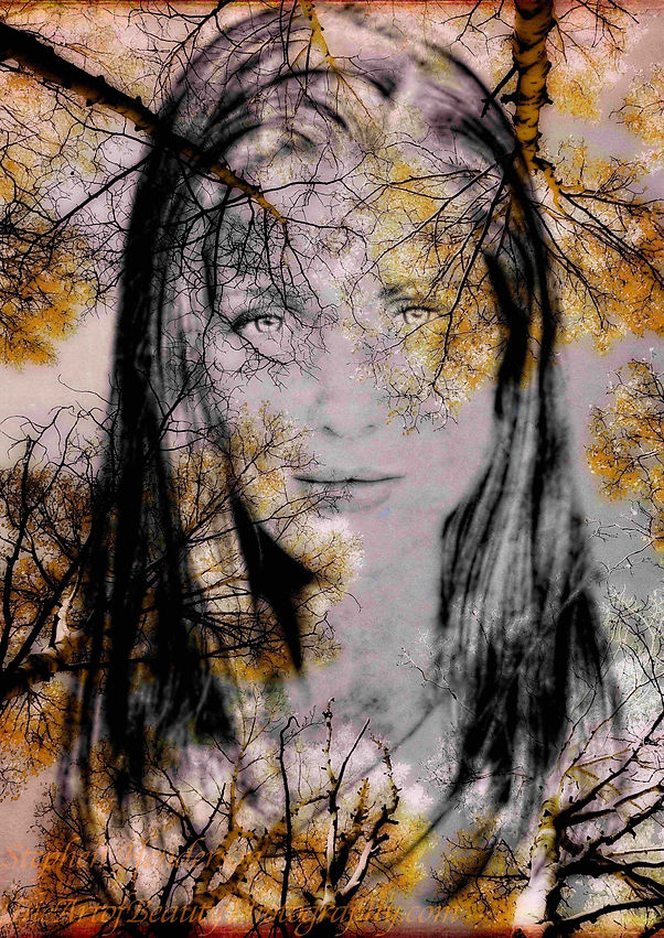 Stephen Henderson The Art of Beauty Photography ~ 22 DTHD.jpg