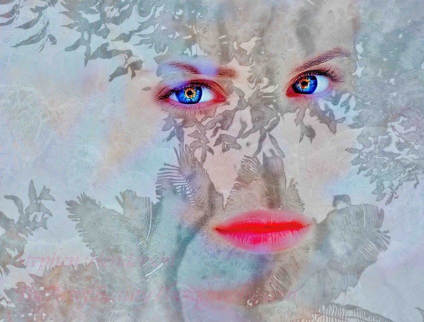 Stephen Henderson ~ The Art of Beauty 1 copy.jpg