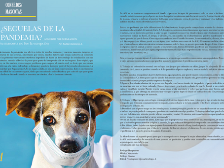 ¿Secuelas de la pandemia? ansiedad por separación
