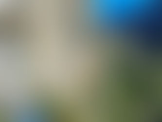 Via Ferrate w rejonie jeziora Garda z Freeride Academy