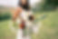 Alexandra-Elise-Photography-Ali-Reed-Film-Wedding-Photographer-Intimate-COVID-Finger-Lakes