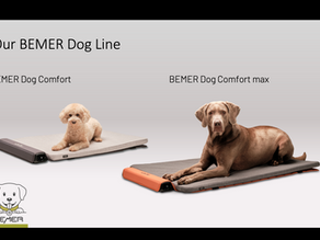BEMER-Nederland: samenwerking rond BEMER Dog Line, demo-sessies en workshops voor hondenwelzijn