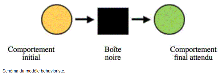 modèle behaviouriste.GIF