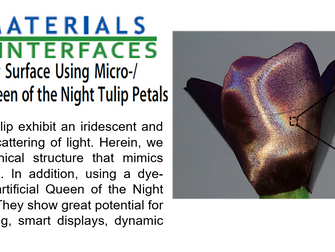 Iridescent and Glossy Effect on Polymer Surface Using Micro/Nanohierarchical Structure: Artificial Q