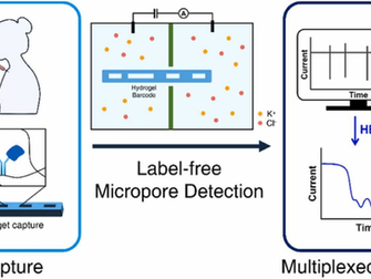 Label-free Multiplexed Protein Quantification in Clinical Samples using Encodable Hydrogel Barcode and Low-Aspect-Ratio Micropore