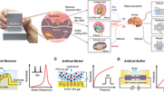 Soft and Integrable Multimodal Artificial Mechanoreceptors Toward Human Sensor of Skin