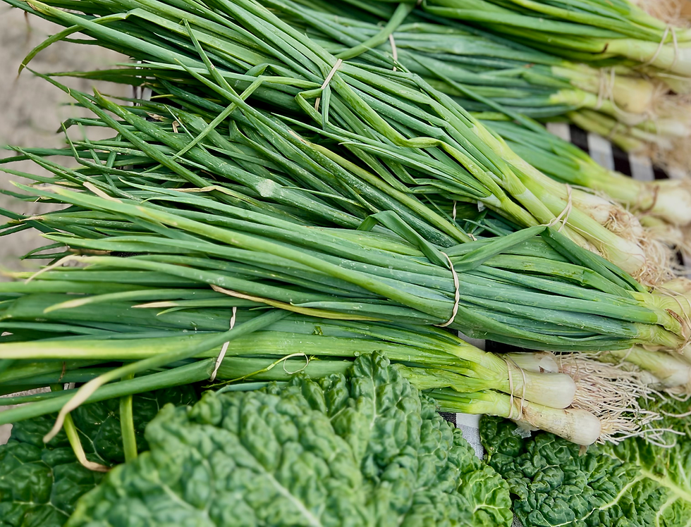 Bunches of green onions at the farmer's market