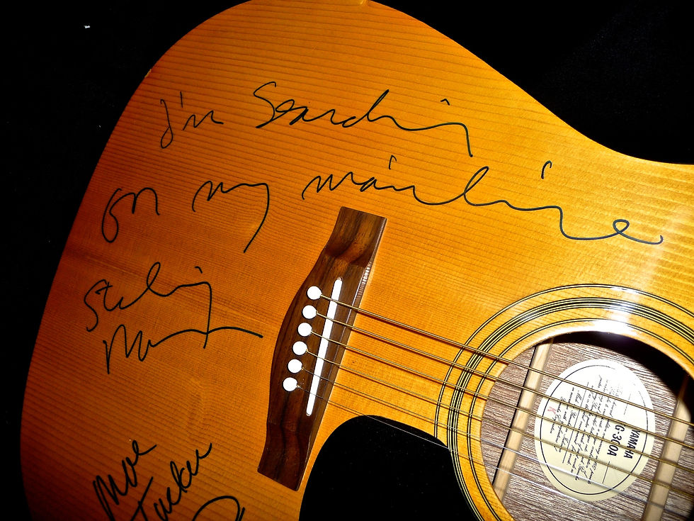 Velvet Underground (Closeup)