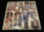 Beach Boys (1/3)