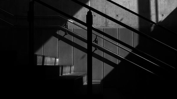 IMG_1201.jpg
