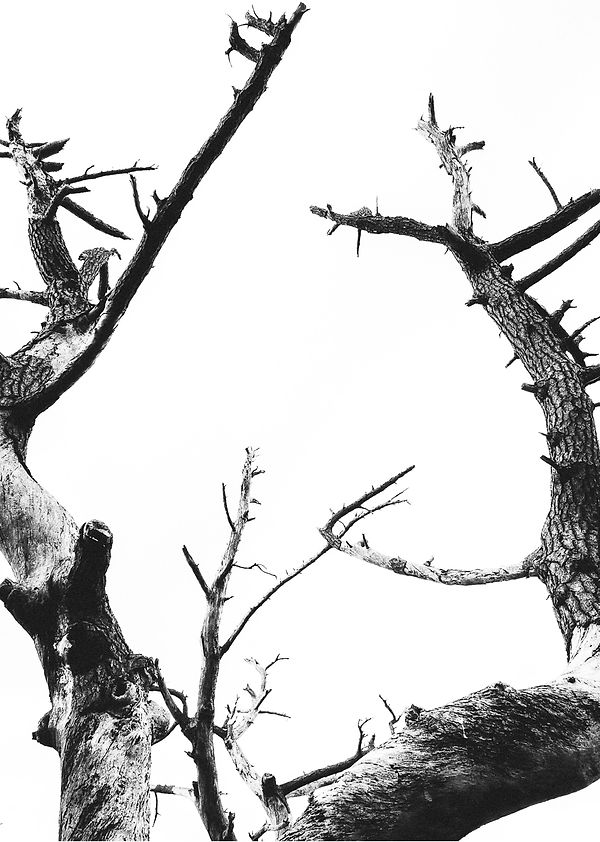 インスタ (1).jpg